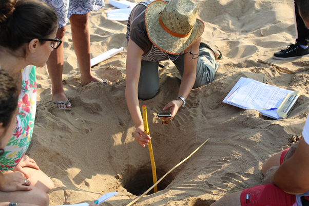 Marine turtle nesting site monitoring in the Tyre Coast Nature Reserve ©SPA/RAC