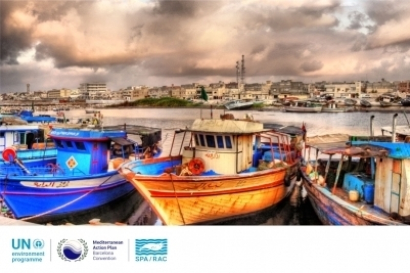 Le golfe de Syrte un hotspot de biodiversité marine à protéger