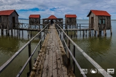  Patok-Rodoni Bay under the magnifying glass of scientists to assess its status