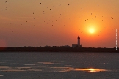 The Medfund grants 1.8 million euros for marine protected areas in Albania and Tunisia