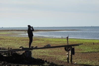 Observing to protect waterbirds