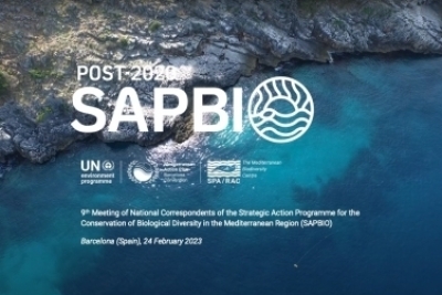 Stimuler l'action pour inverser la perte de biodiversité en Méditerranée