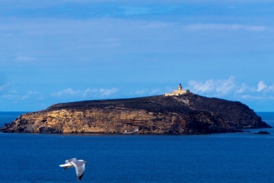 Lancement du classement de l’Aire Marine et Côtière de l’île de Rachgoun en Algérie