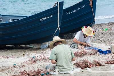 Nouveau document : analyse intégrée des interconnexions entre les indicateurs de l'IMAP et le rôle des pêcheries commerciales dans l'atteinte du bon état écologique en Méditerranée