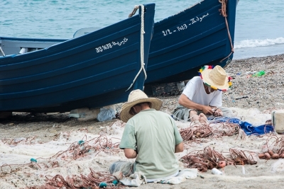 New document: integrated analysis of IMAP indicator interlinkages and the role of commercial fisheries in achieving good environmental status in the Mediterranean