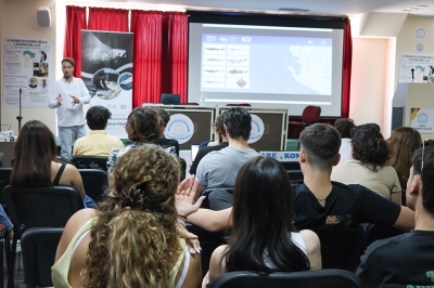 Sauvegarder les poissons cartilagineux dans le sud de l’Adriatique Sauvegarder les poissons cartilagineux dans le sud de l’Adriatique