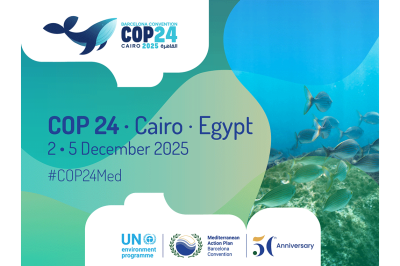 COP24 of the Barcelona Convention: Key Outcomes and Biodiversity Priorities for the Mediterranean