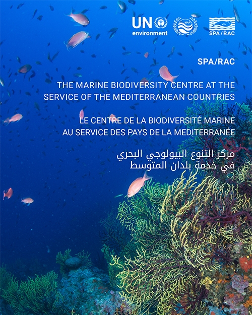 THE MARINE BIODIVERSITY CENTRE AT THE SERVICE OF THE MEDITERRANEAN COUNTRIES