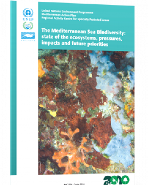 The Mediterranean Sea Biodiversity: state of the ecosystems, pressures, impacts and future priorities