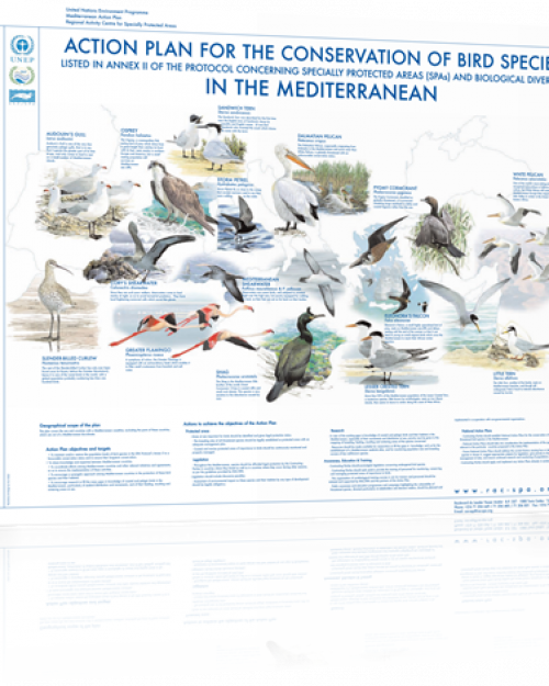 Poster on the bird species registred under annex II of the SPA/BD Protocol