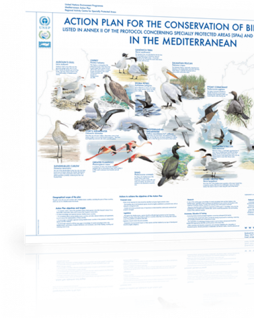 Affiche sur les espèces d'oiseaux enregistrées en vertu de l'annexe II du Protocole SPA / BD