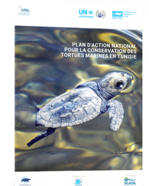 Plan d'action sur les tortues marines
