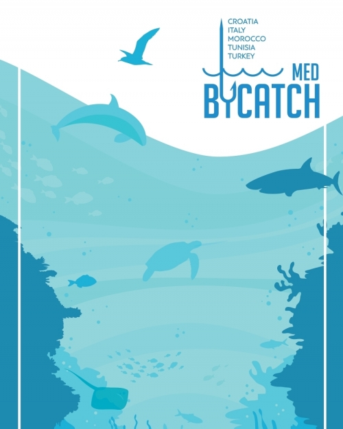 MedBycatch Project Flyer (Phase II)