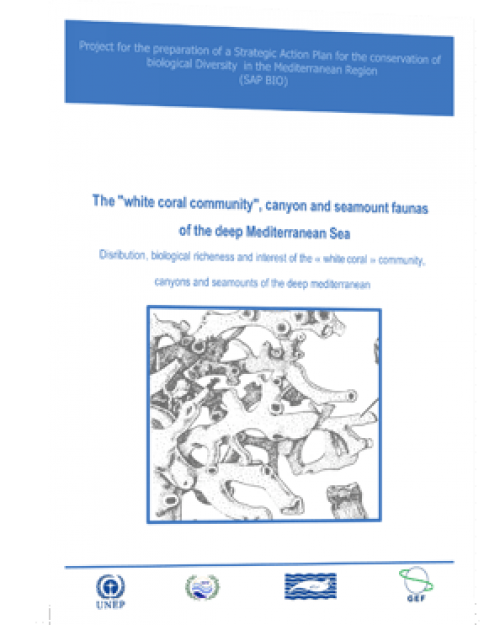 The white coral community, canyon and seamount faunas of the deep Mediterranean Sea