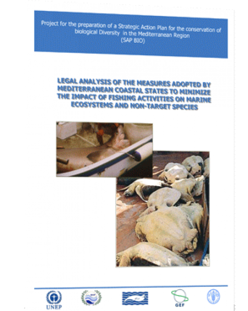 Legal analysis of the measures adopted by Mediterranean countries