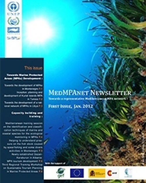 MedMPAnet 1st Newsletter