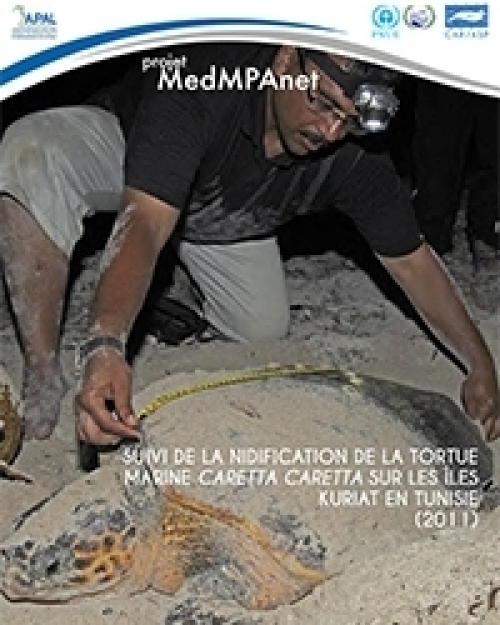 Suivi de la nidification de la tortue marine Caretta caretta sur les îles Kuriat (in French)  (2011)