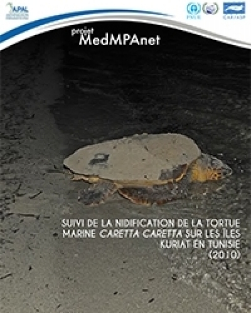 Suivi de la nidification de la tortue marine Caretta caretta sur les îles Kuriat (in French)  (2010)