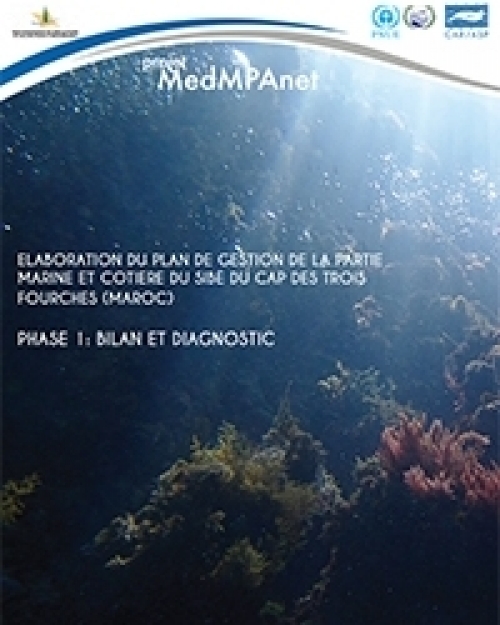 Élaboration du plan de gestion de la partie marine et côtière du SIBE du Cap des Trois Fourches (Maroc) - Phase 1  Bilan et diagnostic (in French)  (2015)