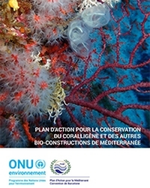Plan d'action sur le coralligène et autres bio-concrétions calcaires