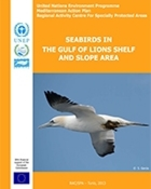 Seabirds in the Gulf of Lions shelf and slope area (en anglais)