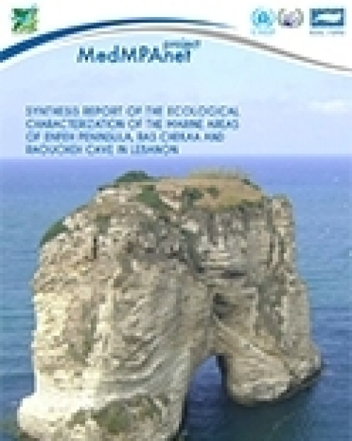 Synthesis report of the ecological characterization of the marine areas of Enfeh peninsula, Ras Chekaa and Raoucheh cave in Lebanon  (2012)