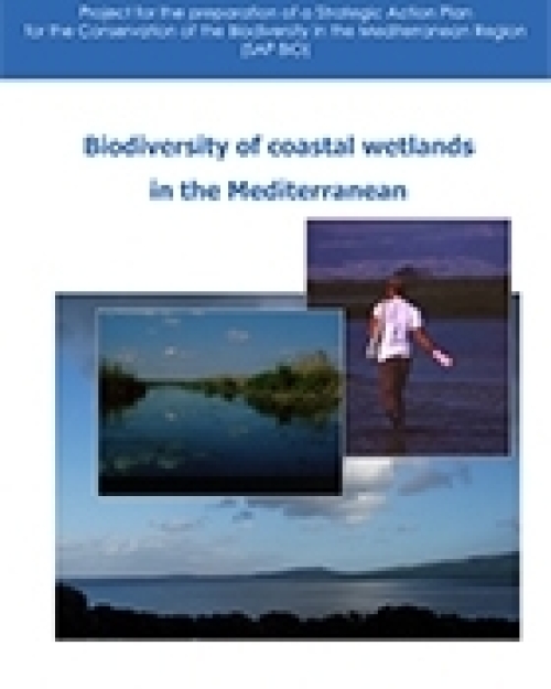 Biodiversity of coastal wetlands in the Mediterranean