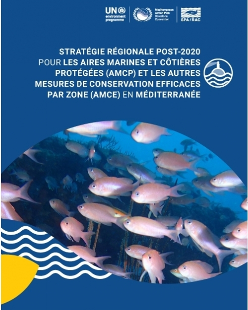 Stratégie régionale post-2020 pour les Aires marines et côtières protégées (AMCP) et les Autres mesures de conservation efficaces par zone (AMCE) en Méditerranée