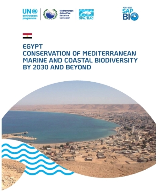 Conservation de la biodiversité marine et côtière de l’Égypte pour 2030 et au-delà