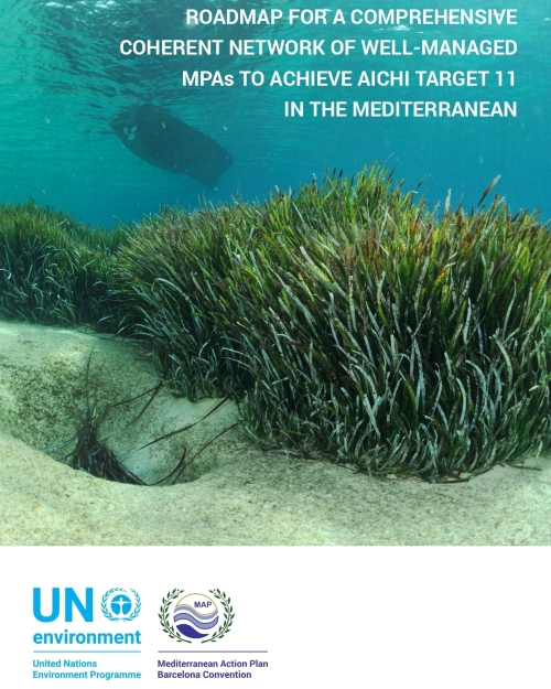 Roadmap for a comprehensive coherent network of well-managed MPAs to achieve Aichi Target 11 in the Mediterranean