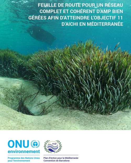 Feuille de route pour un réseau complet et cohérent d'AMP bien gérées afin d'atteindre l'Objectif 11 d'Aichi en Méditerranée