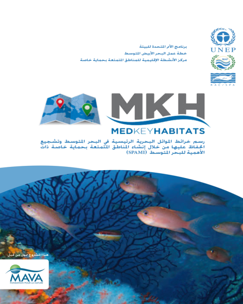 MEDKEYHABITATS ARABE