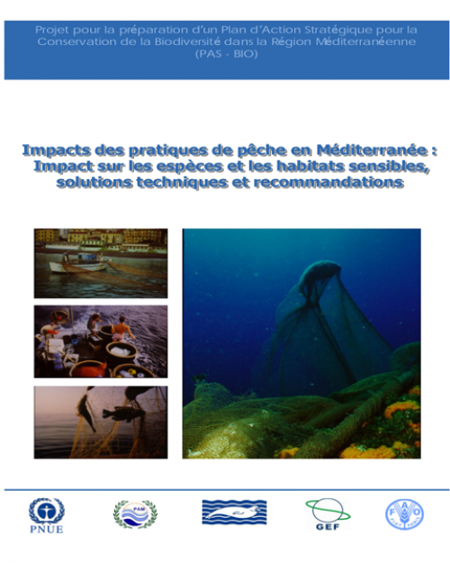 Impacts des pratiques de pêche en Méditerranée