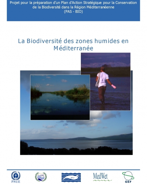 La Biodiversité des zones humides en Méditerranée