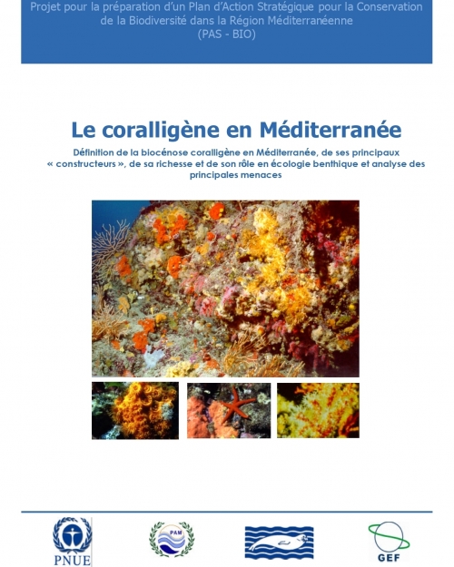 Le coralligène en mer Méditerranée