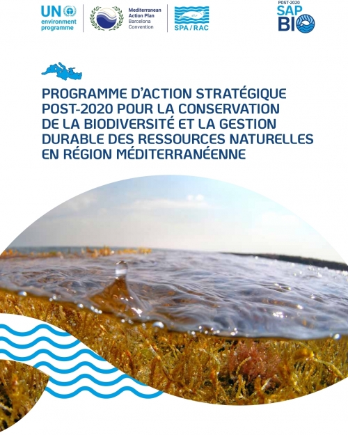 Programme d'action stratégique post-2020 pour la conservation de la biodiversité et la gestion durable des ressources naturelles en région méditerranéenne