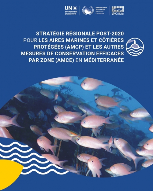 Stratégie régionale post-2020 pour les AMCP et les AMCE en Méditerranée