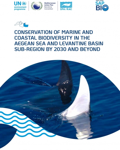 Conservation of marine and coastal biodiversity in the Aegean Sea and levantine basin subregion by 2030 and beyond