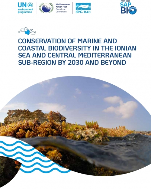 Conservation of marine and coastal biodiversity in the Ionian Sea and central Mediterranean sub-region by 2030 and beyond