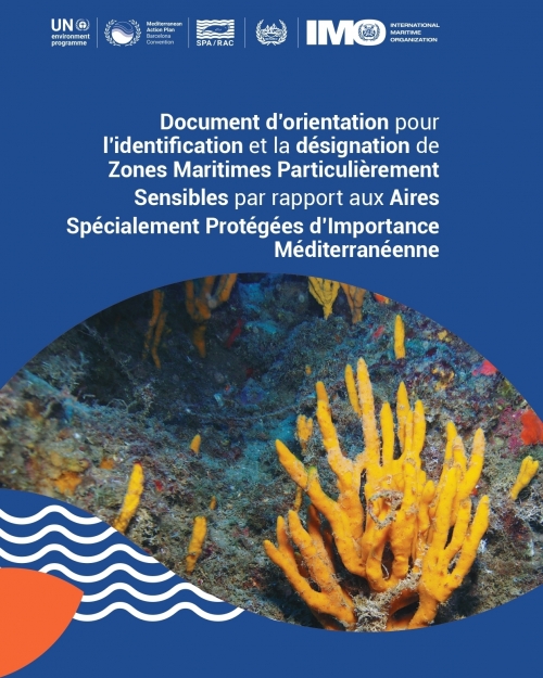 Document d'orientation pour l'identification et la désignation de Zones Maritimes Particulièrement Sensibles par rapport aux Aires Spécialement Protégées d'Importance Méditerranéenne