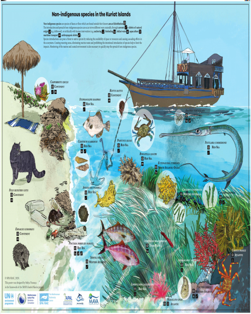 Non-indigenous species in the Kuriat Islands