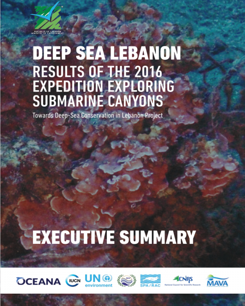 Results of the 2016 Expedition Exploring Submarine Canyons – Executive summary