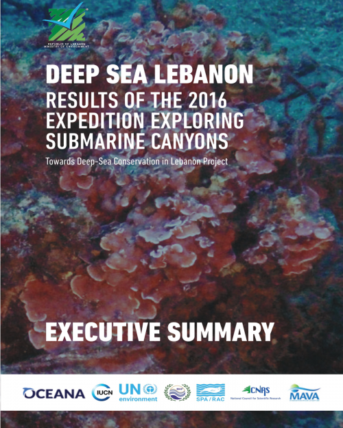 Résultats de l'Expédition 2016 Exploration des canyons sous-marins - Résumé exécutif