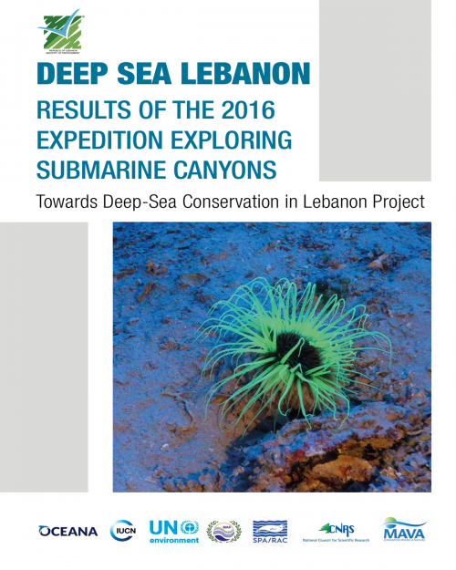 Expédition en haute mer au Liban 2016 : Exploration des canyons sous-marins