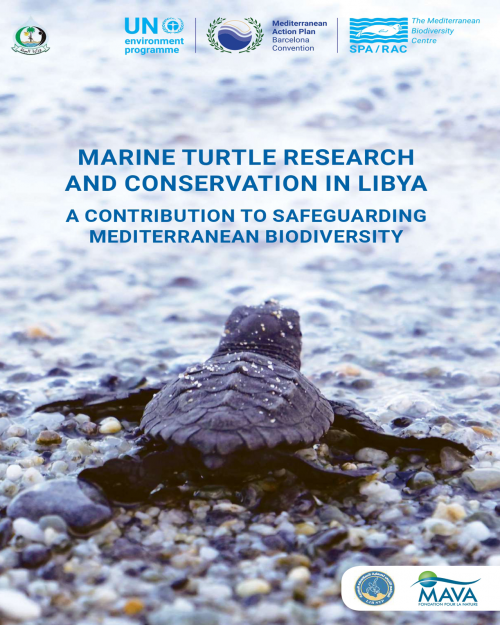 Marine Turtle Research and Conservation in Libya A contribution to safeguarding Mediterranean Biodiversity (2021)