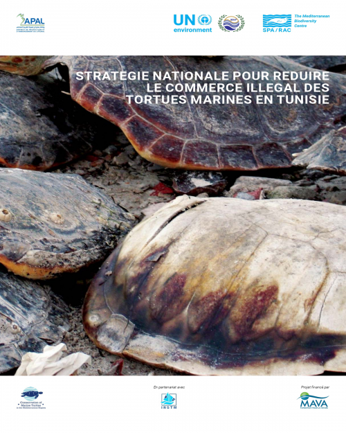 Stratégie nationale pour réduire le commerce illégal des tortues marines en Tunisie