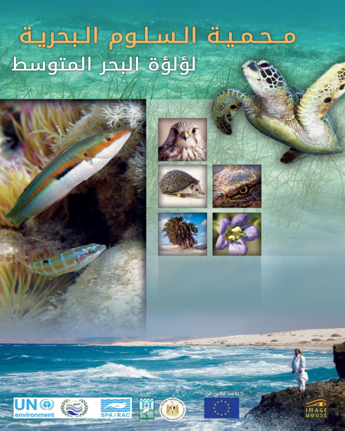 Salloum Marine Protected Area - the Mediterranean Pearl (Arabic only)  (2019)