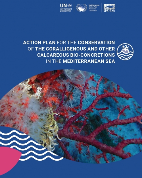 Action Plan for the conservation of the coralligenous and other calcareous bio-concretions in the Mediterranean Sea