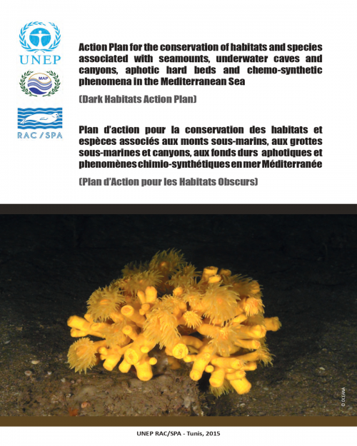 Plan d'action pour la conservation des habitats et espèces associés aux monts sous-marins, aux grottes sous-marines et canyons, aux fonds durs aphotiques et phénomènes chimio-synthétiques en mer Méditerranée