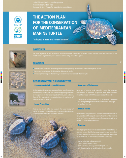 Poster sur le Plan d'Action pour la conservation de la tortue marine Méditerranéenne